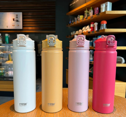 Stainless steel insulated bottle / thermos