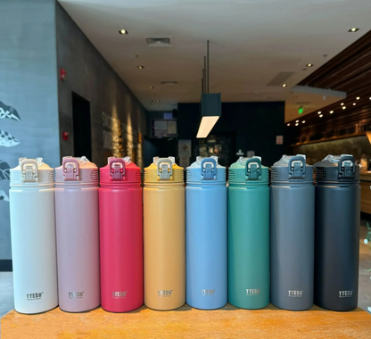 Stainless steel insulated bottle / thermos