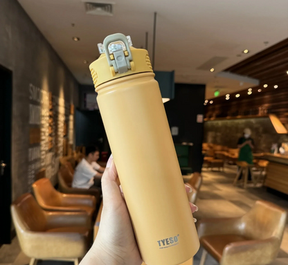 Stainless steel insulated bottle / thermos